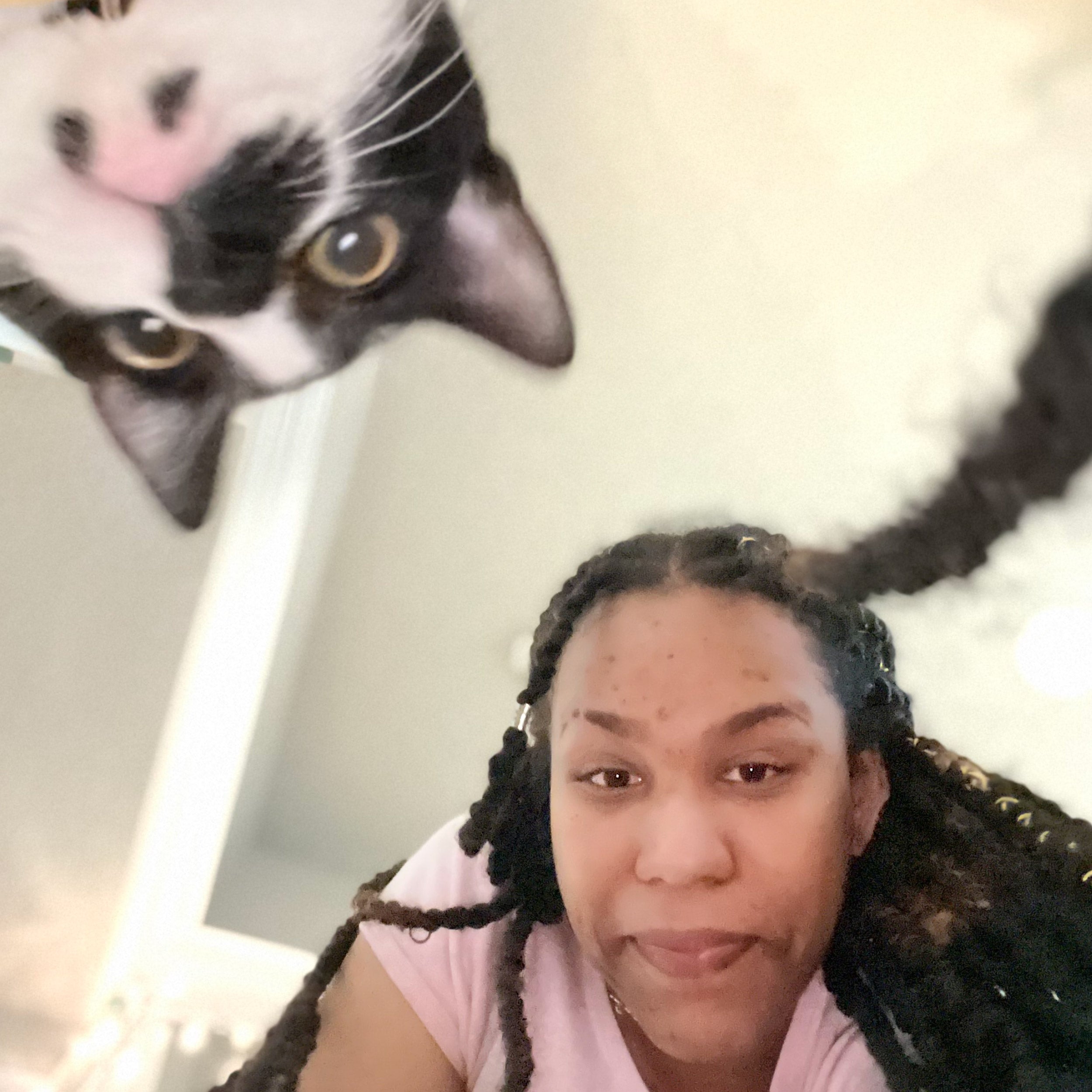 Black Cat - Amigurumi